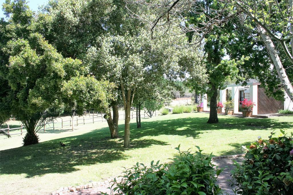 Guest house Ibis House
