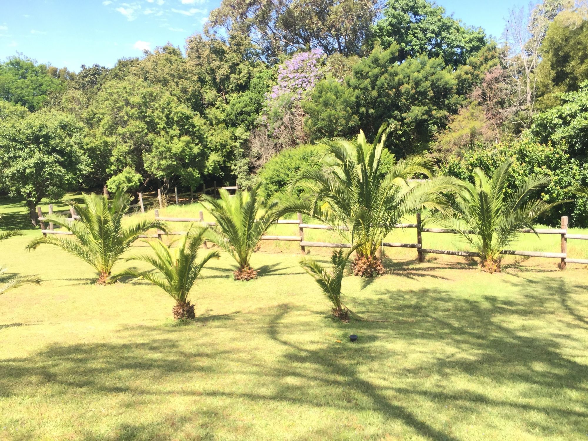 Ibis House Guest house 4*
